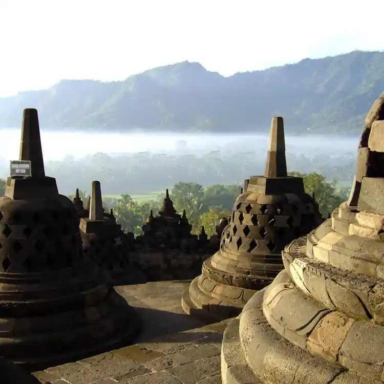ngoiden_1785639514.jpg