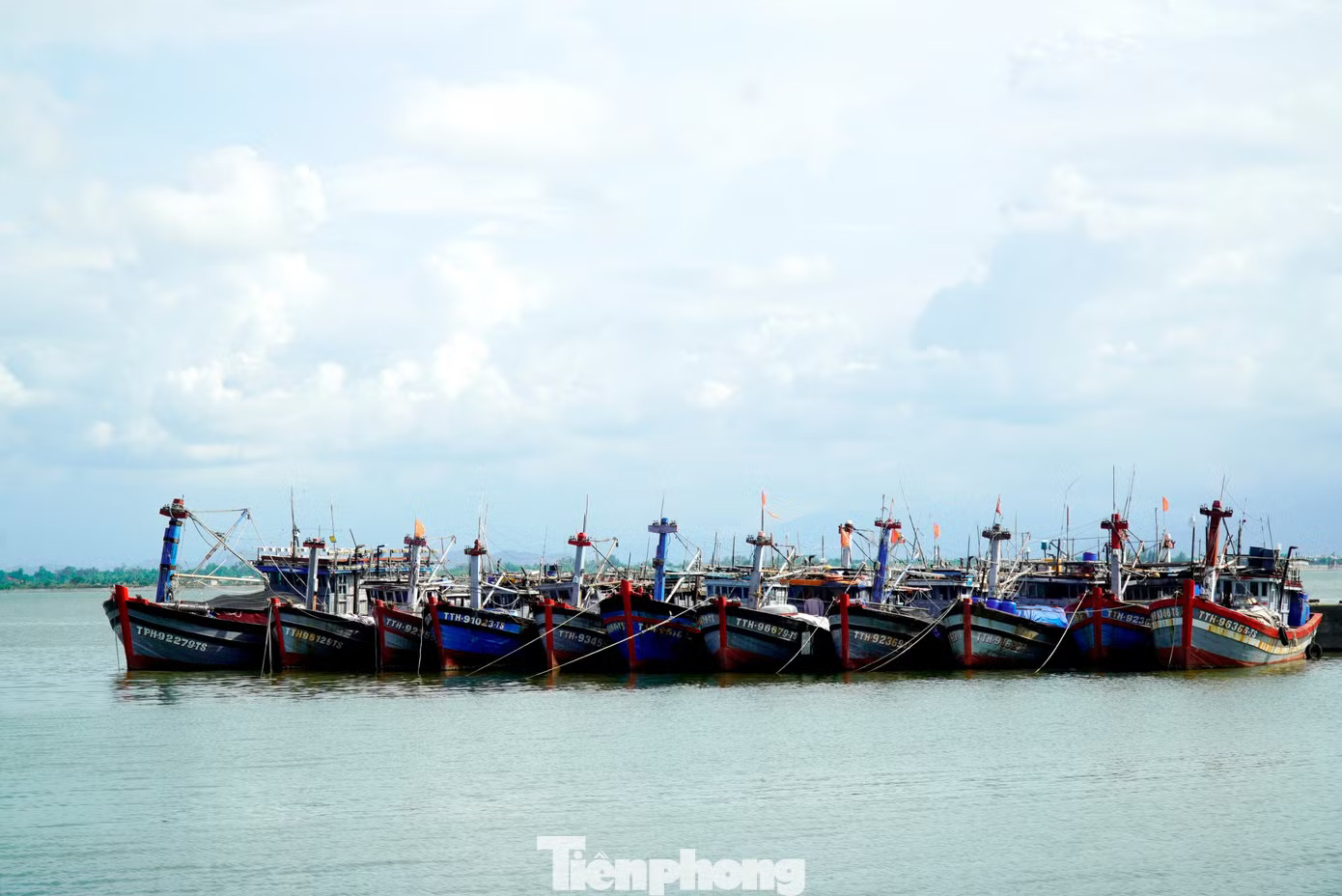 Tàu cá nằm bến dài ngày, trong khi nhiều lao động nghề biển tại Huế phải chuyển sang công việc tạm thời để mưu sinh. Vì sao tàu cá tại Huế nằm bờ hàng loạt? - Ảnh 4.