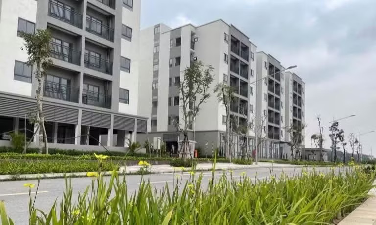 Đề nghị cắt bỏ khâu 'thẩm định và ra quyết định miễn tiền sử dụng đất' đối NƠXH - Ảnh 1.