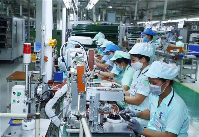 doanh nghiệp Việt