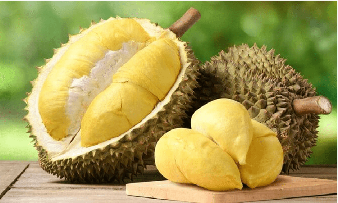 Sầu riêng giúp một doanh nghiệp 'hậu trường' báo lãi gấp đôi cùng kỳ