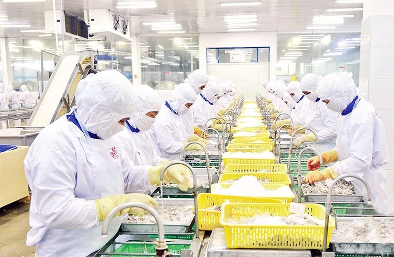 Nhiều mặt hàng tỷ đô giảm tốc, đâu là 'cứu tinh' của xuất khẩu nông sản Việt?
