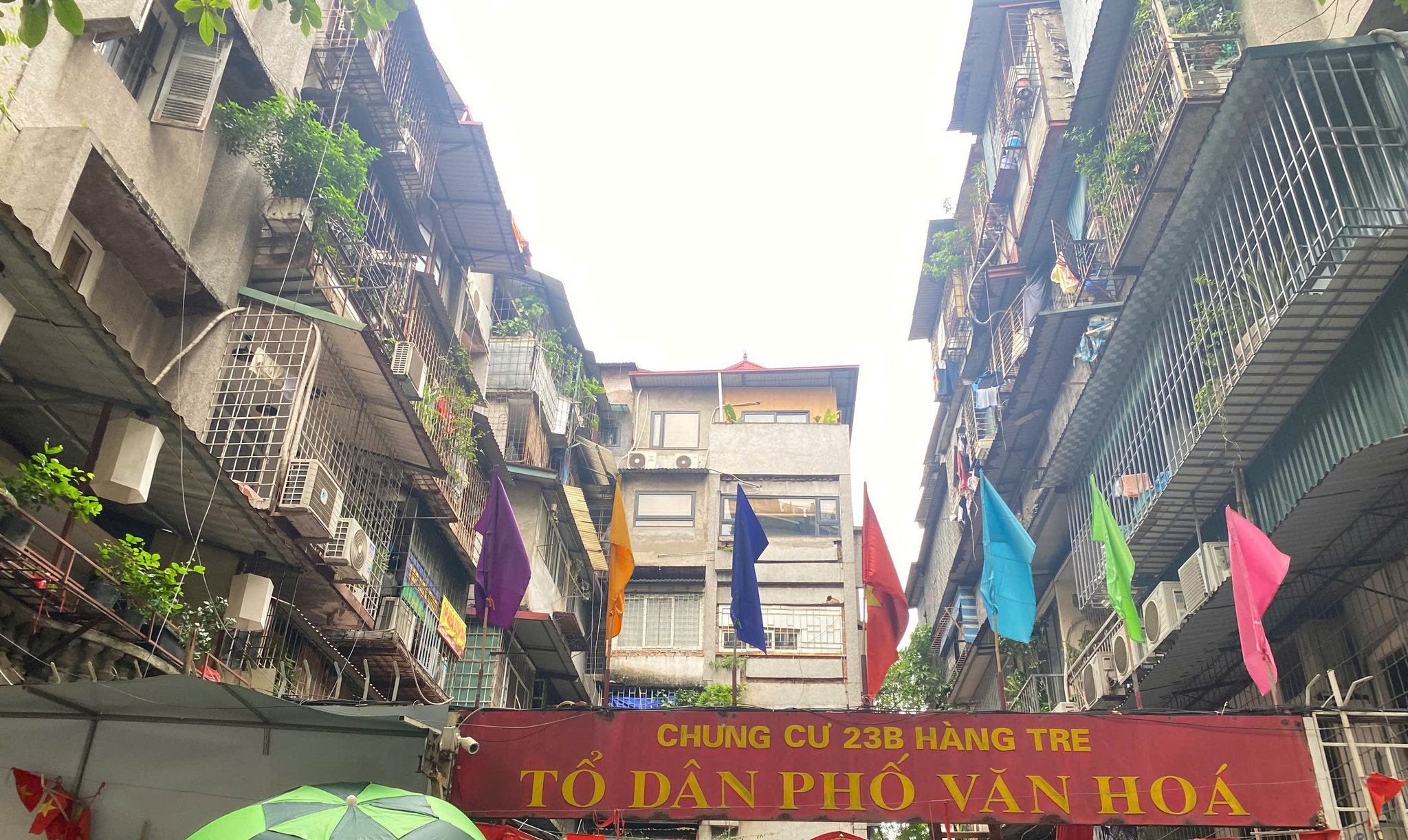 hang-tre.jpg