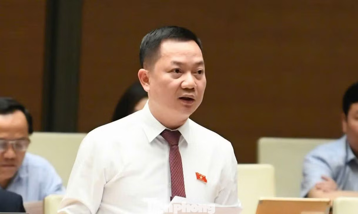 ĐBQH Trịnh Xuân An. Đề xuất kinh doanh kim cương, bán hợp đồng kỳ nghỉ là ngành, nghề có điều kiện - Ảnh 1.