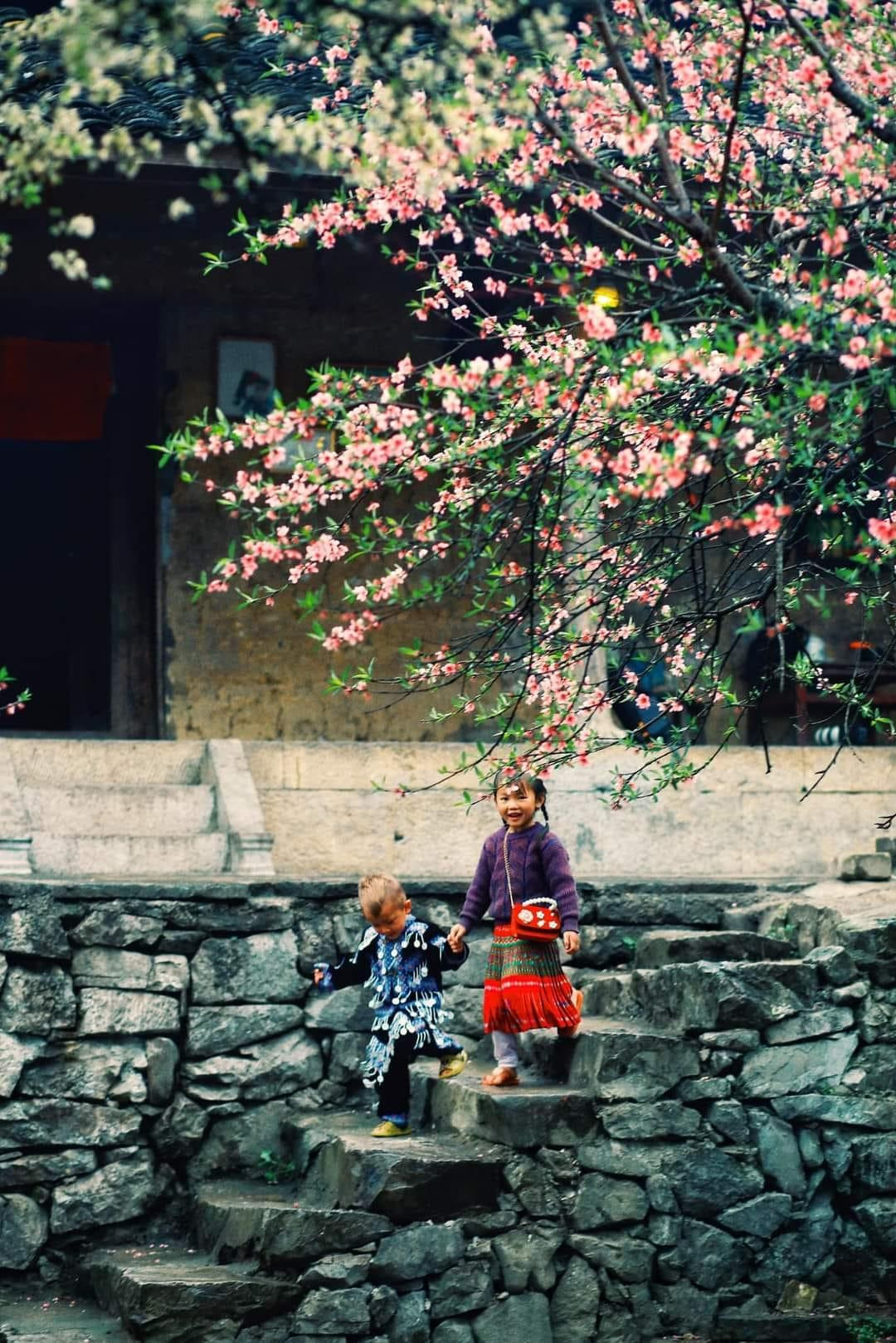 du-lich-lao-xa-ha-giang-01_1785747608.jpg