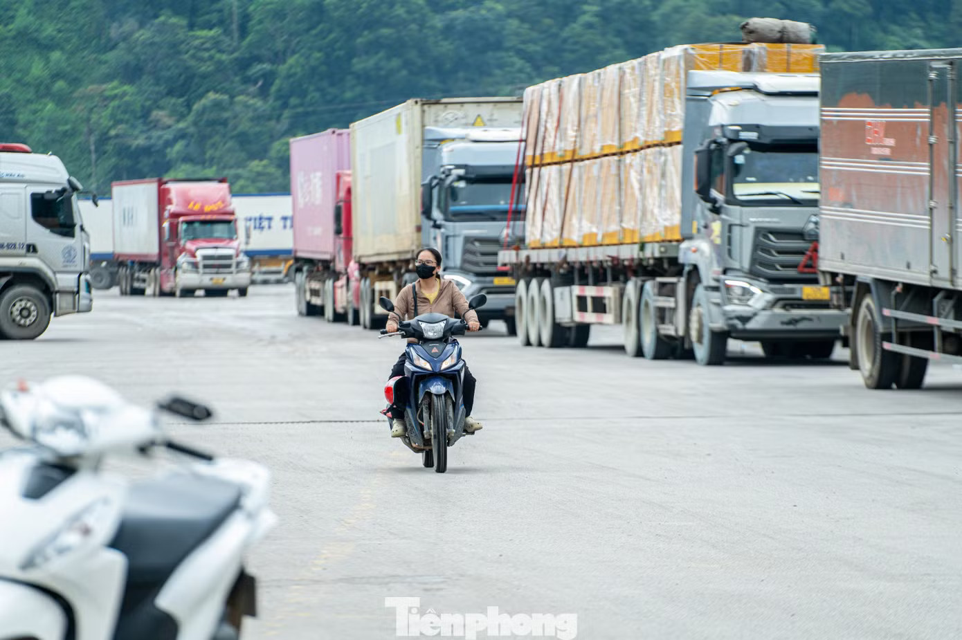 Khu vực bãi xe trước cửa khẩu chật kín các phương tiện từ Việt Nam và Trung Quốc vào làm thủ tục thông quan, sang tải hàng hóa. Một công nhân lái xe nâng tại đây cho biết, mỗi ngày anh cùng các công nhân lái xe ở đây đều tất bật phục vụ công tác sang tải hàng hóa. Nườm nượp xe chở nông sản thông quan tại cửa khẩu Lạng Sơn sang Trung Quốc - Ảnh 3.