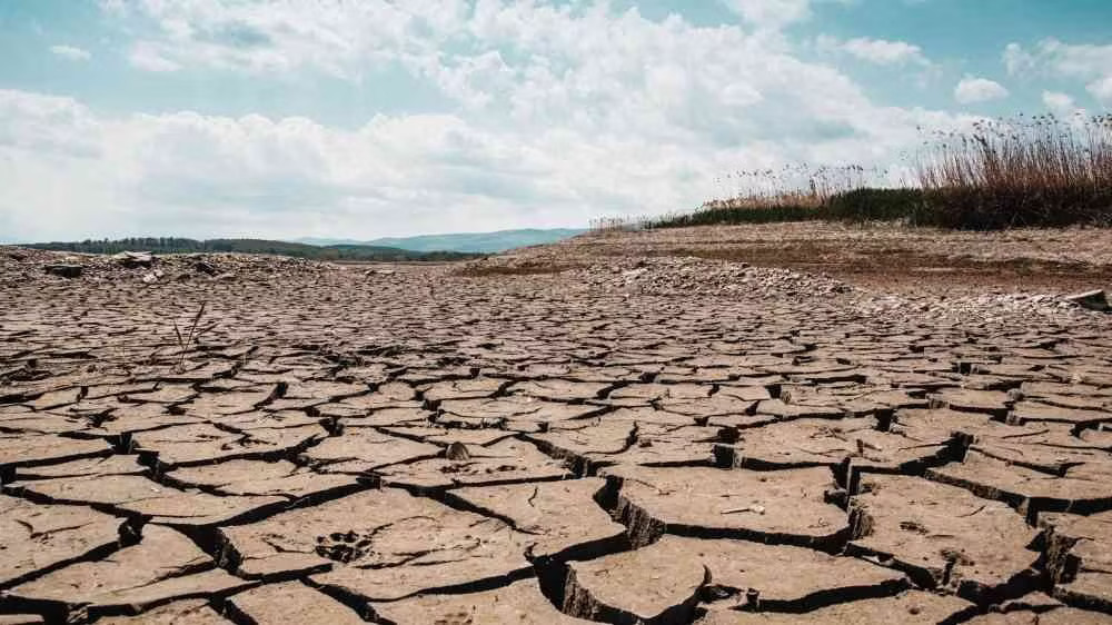 Tổ chức Khí tượng Thế giới cảnh báo về El Nino - Ảnh 1.