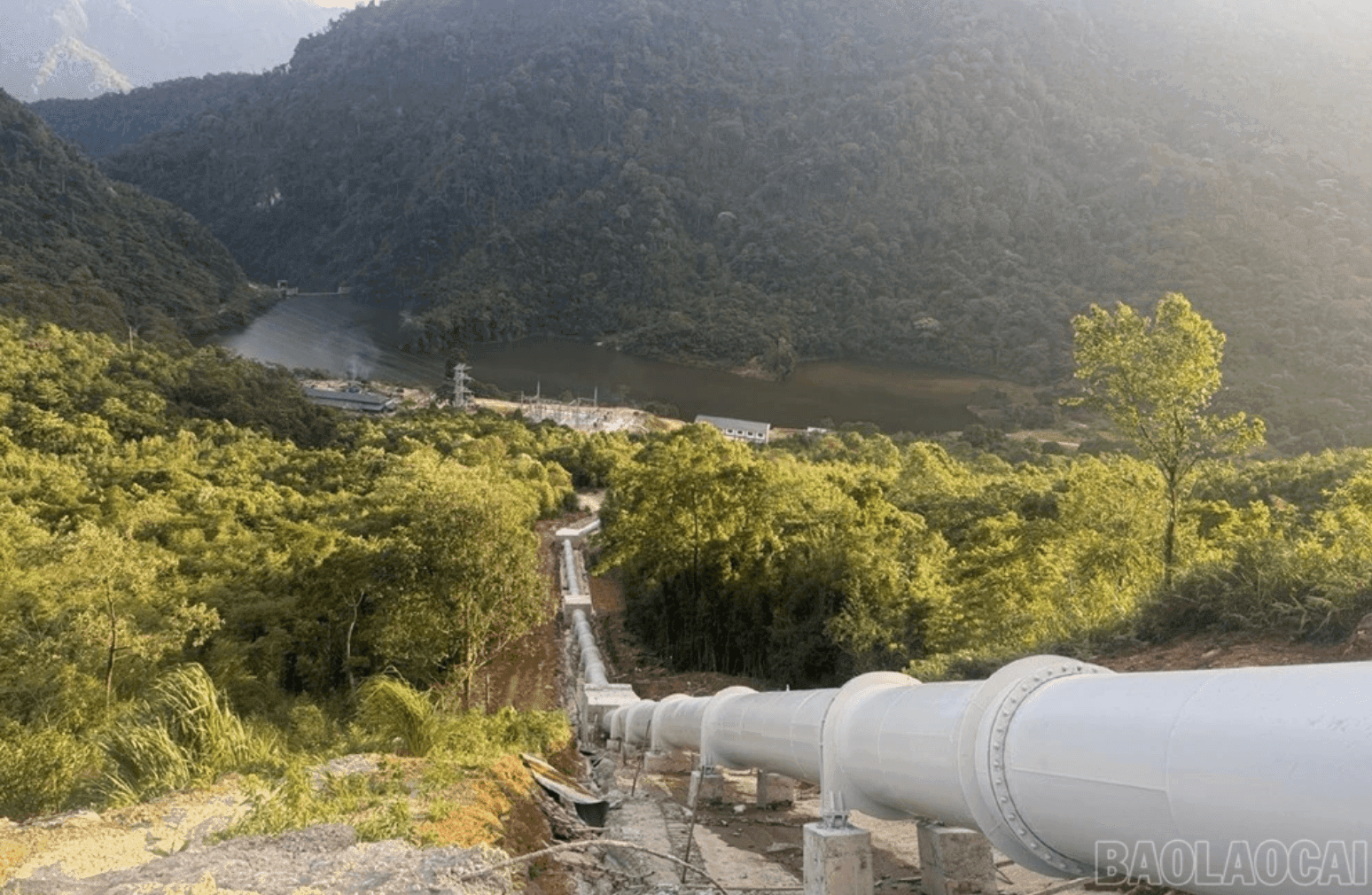 Ảnh màn hình 2026-08-07 lúc 14.43.59