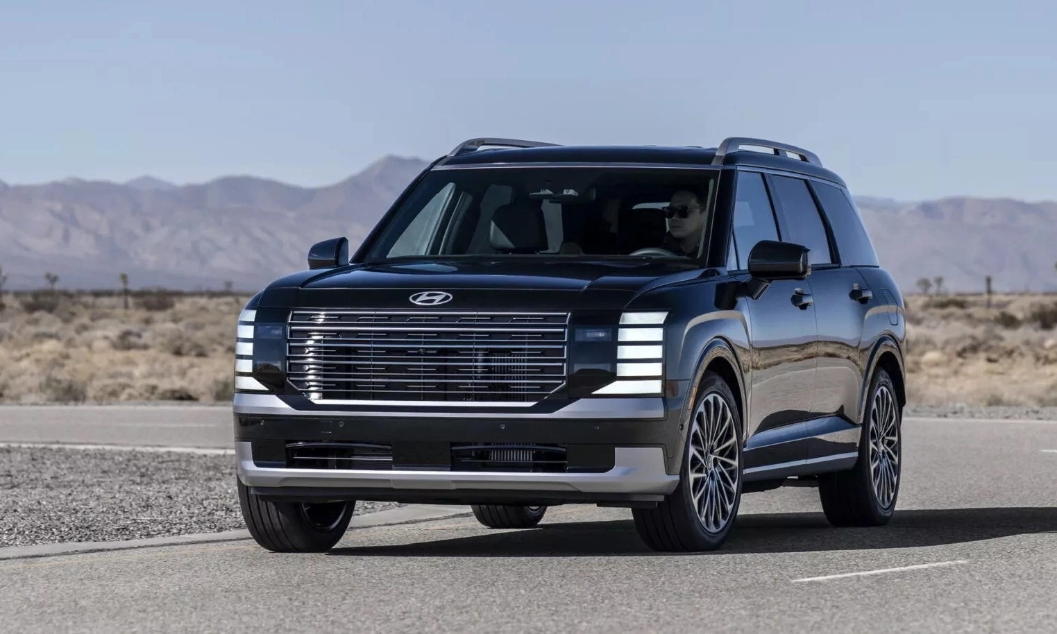 hyundai-palisade-1(1).jpg