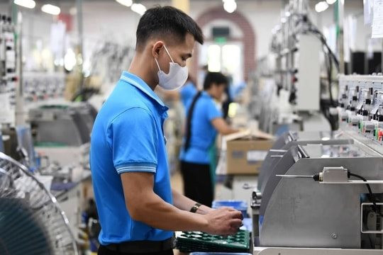 Ưu đãi thuế 5% tới 37 năm nhưng mới có 1 dự án áp dụng: Bộ Tài chính nói gì?
