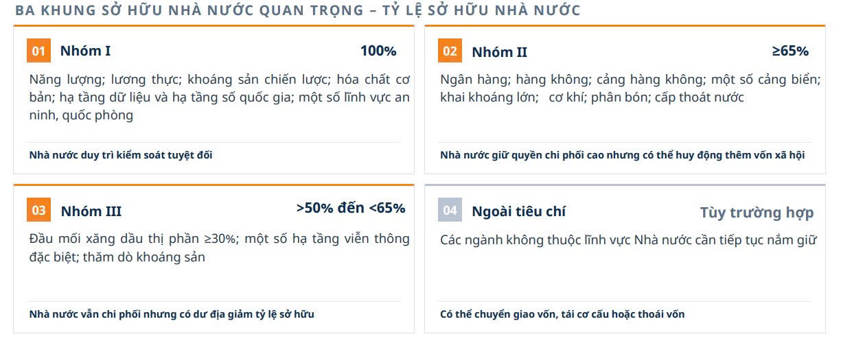 Chính phủ cơ cấu lại vốn Nhà nước, chuyên gia chỉ đích danh các doanh nghiệp hưởng lợi - Ảnh 1.