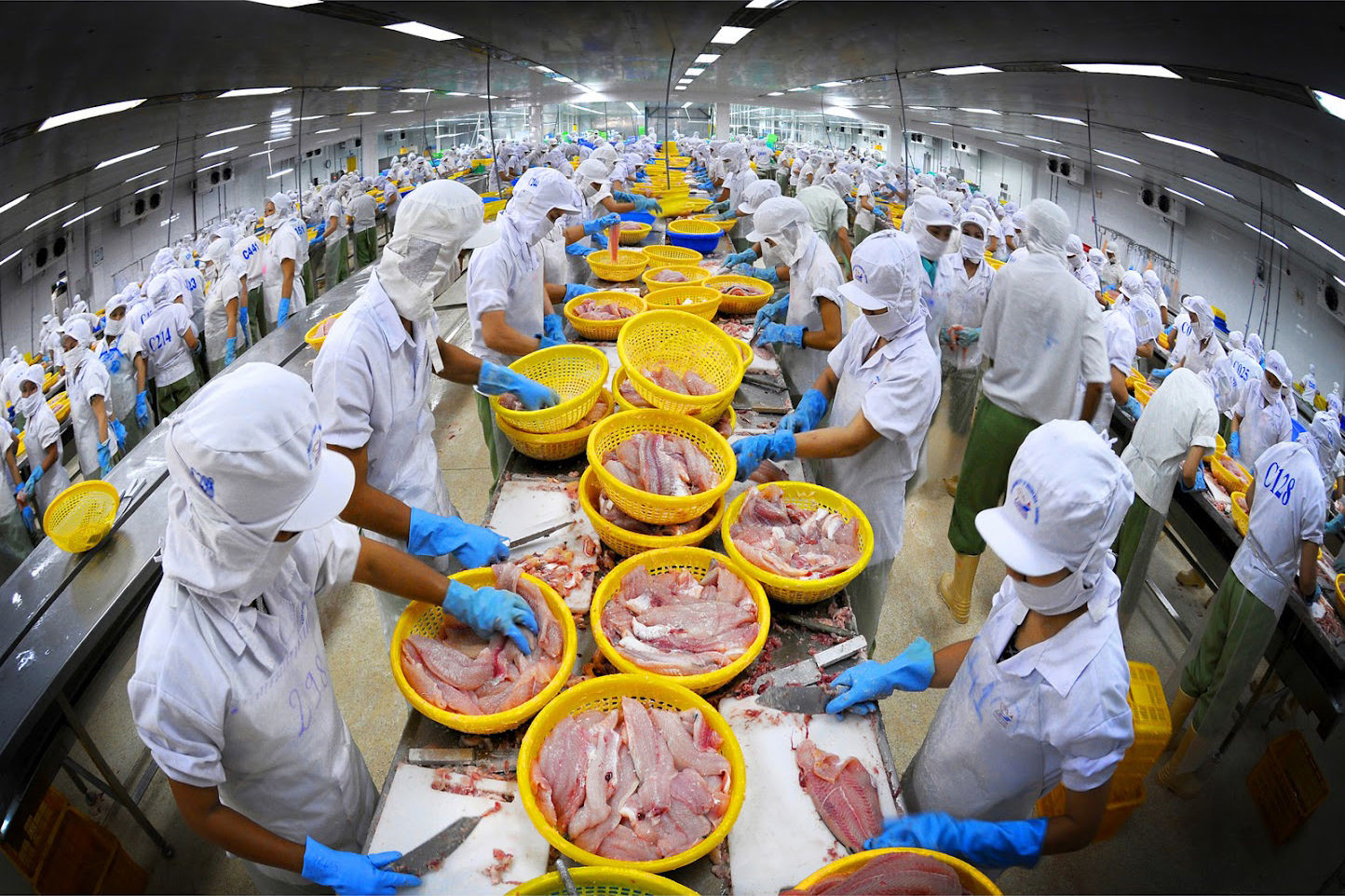 Mặt hàng xuất khẩu quan trọng Việt Nam đối diện mức thuế cao nhất 12,5% từ Mỹ, hàng tỷ USD trực tiếp chịu sức ép - Ảnh 1.