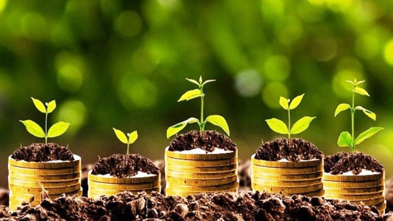Lịch chốt quyền cổ tức tuần 10-14/8: MBB, BSR, MCH đồng loạt thanh toán; tỷ lệ cao nhất 100%