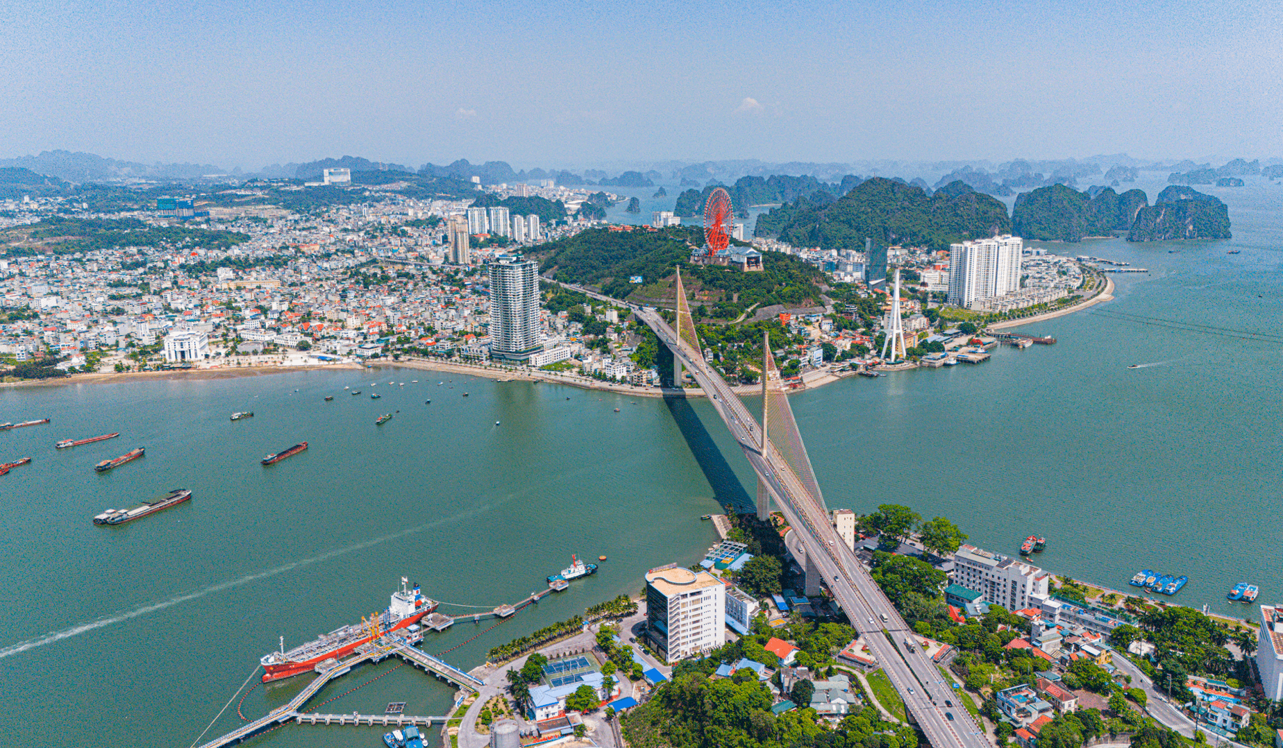 Ảnh màn hình 2026-08-08 lúc 14.21.34