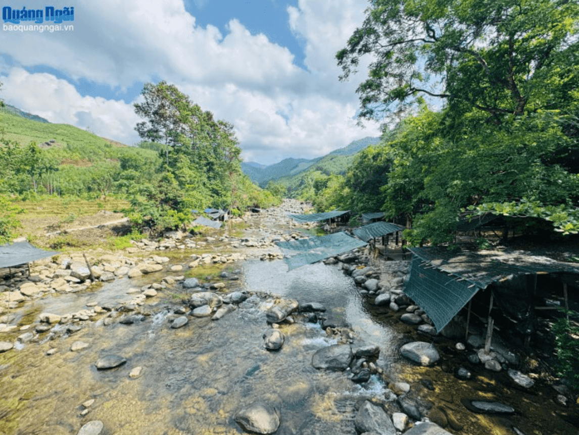 Ảnh màn hình 2026-08-11 lúc 11.07.56