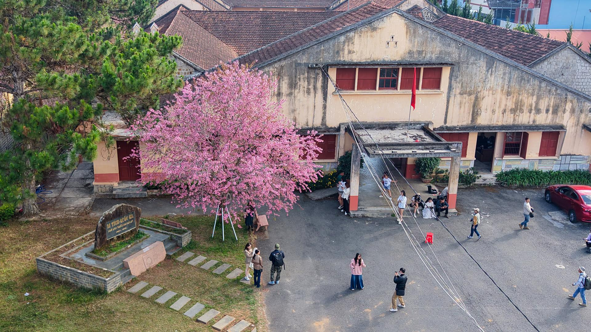 cttdt-sgdt-tinh-lam-dong_1786433169.jpg