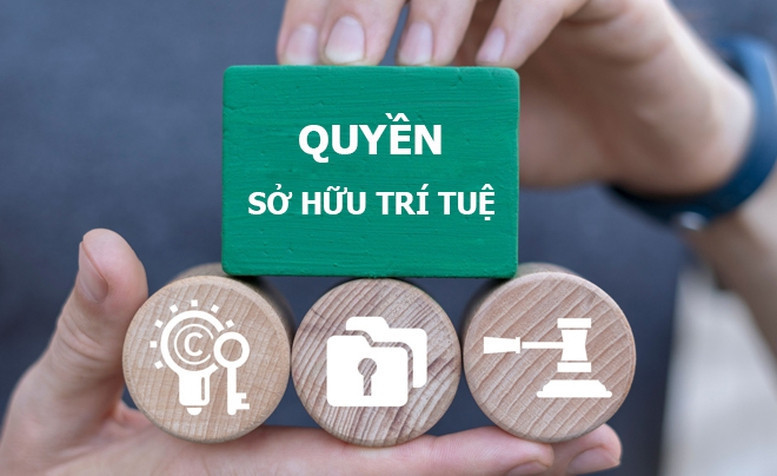 quyen-so-huu-tri-tue-17698559003881232273690-1769861029327-1769861030196306568294-17779925478771950576079-1-3165.jpg
