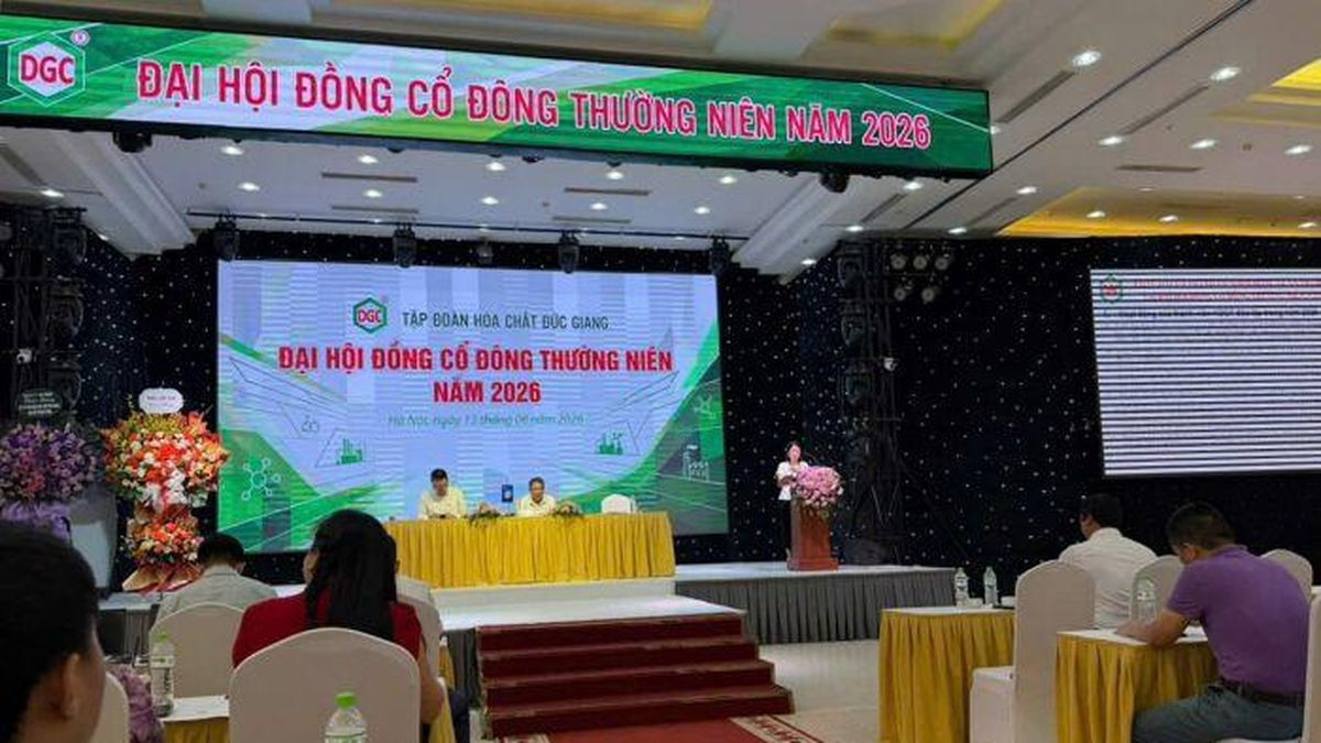 Cổ đông Hóa chất Đức Giang (DGC): Ban Kiểm soát chỉ là cái bóng của Ban quản trị