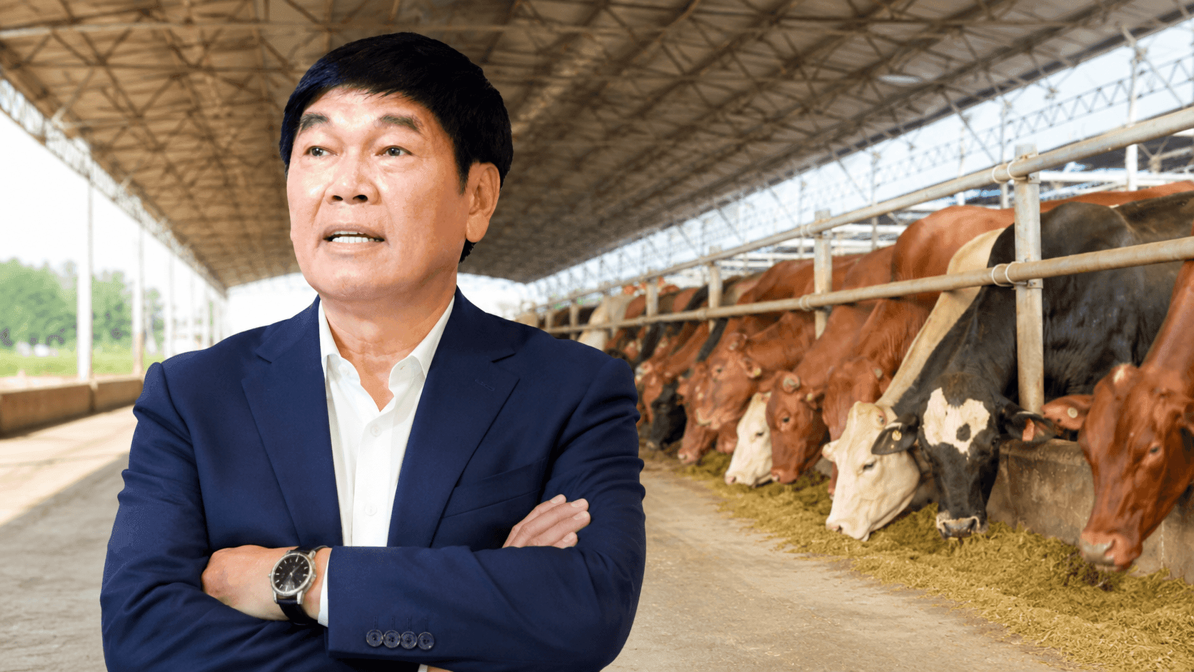 Doanh nghiệp của tỷ phú Trần Đình Long bắt tay Thái Lan, nâng nguồn cung bò thêm 36.000 con