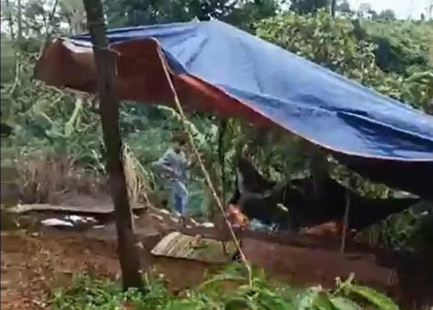 Nơi phát hiện thi thể nạn nhân. Nam giáo viên khai quá trình sát hại, phi tang thi thể nữ nhân viên thư viện cùng trường - Ảnh 2.