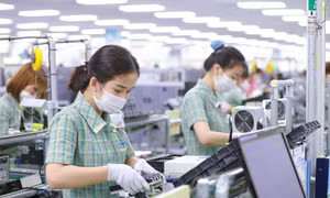 Nhập siêu hơn 20 tỷ USD: Áp lực đến từ đâu? - Ảnh 3.