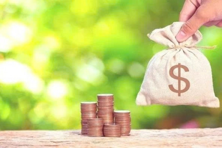 Lãi lớn, một doanh nghiệp tạm ứng cổ tức tỷ lệ 20%