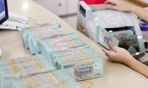 Tiền gửi ngân hàng tăng kỷ lục, nguồn vốn khổng lồ đang chảy về đâu? - Ảnh 8.