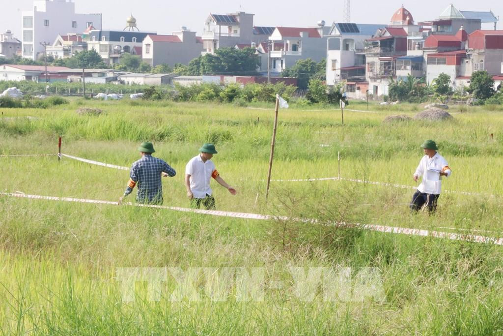 174421-hai-phong-cuong-che-kiem-dem-thu-hoi-gan-3-000m2-dat-de-xay-dung-khu-dan-cu-moi-dong-cam.jpg