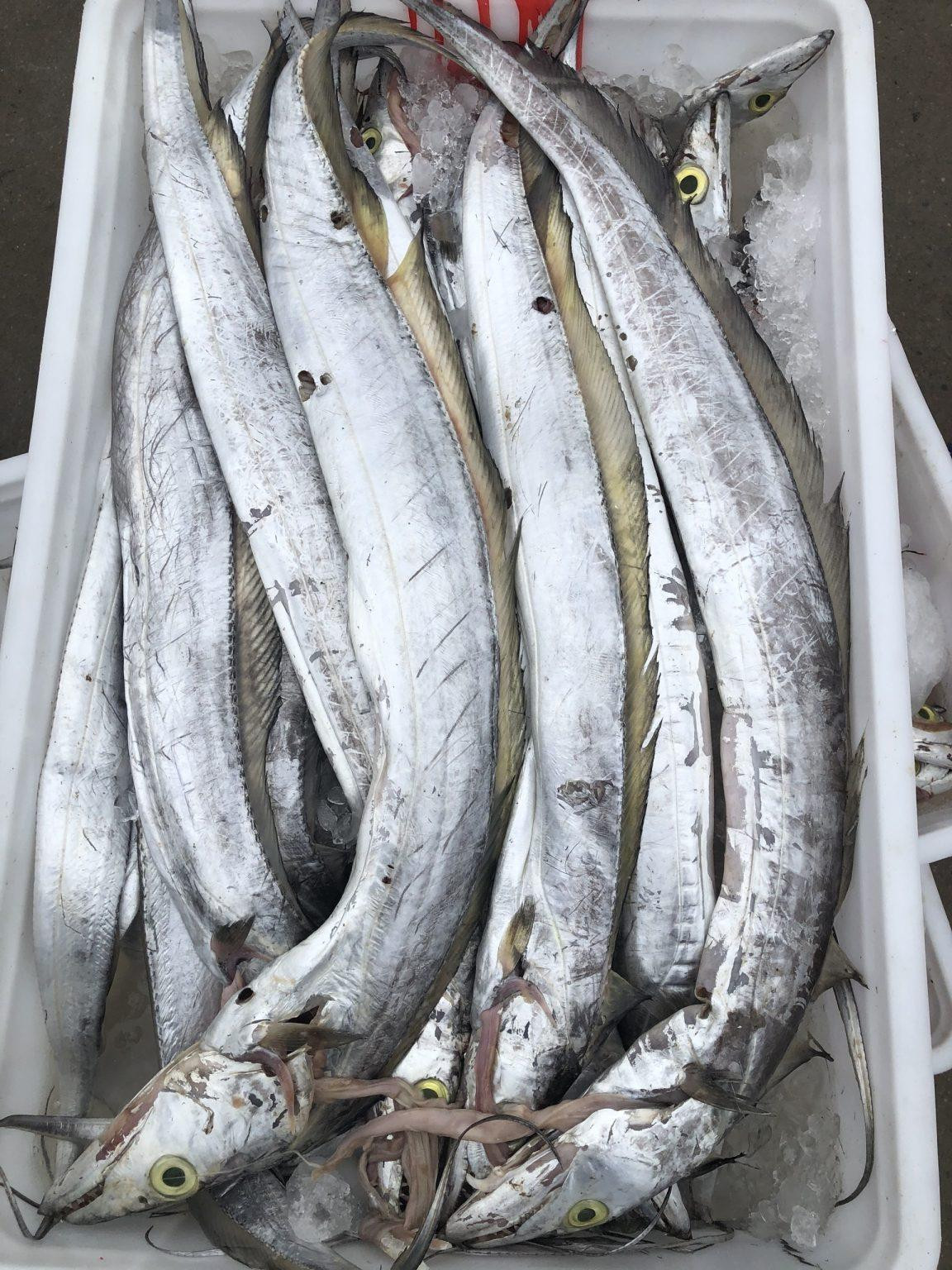 nuoc-mam-quang-binh_1786696605.jpeg