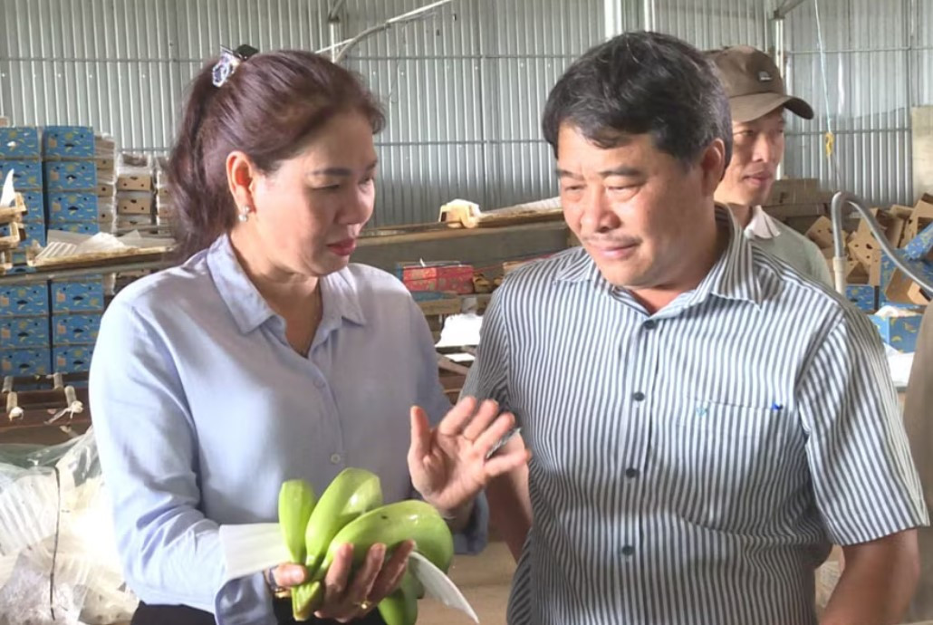 Phó chủ tịch HĐND HAG