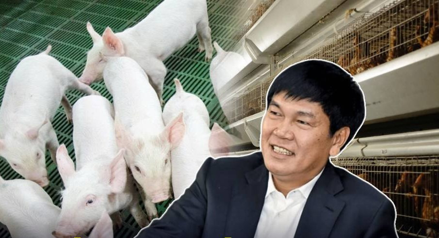 Nuôi heo khó, công ty nông nghiệp của tỷ phú Trần Đình Long mang hơn 2.000 tỷ đồng đi gửi ngân hàng