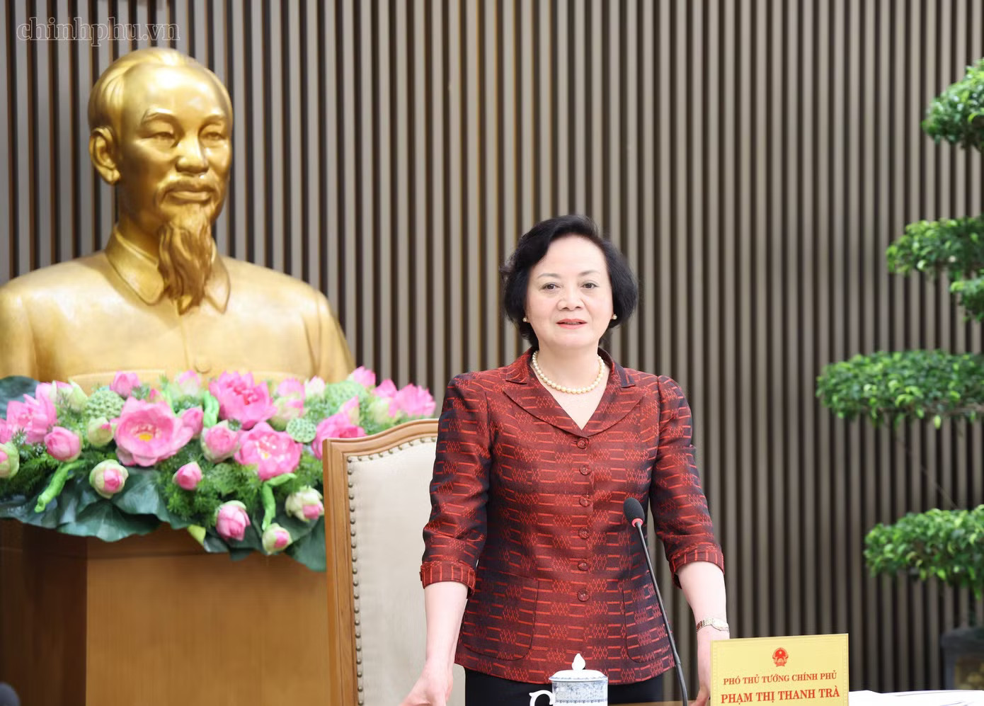Phó Thủ tướng Phạm Thị Thanh Trà phát biểu. (Ảnh: VGP) Nghiên cứu hạ tuổi hưởng trợ cấp hưu trí xã hội từ 75 xuống 70 tuổi - Ảnh 2.