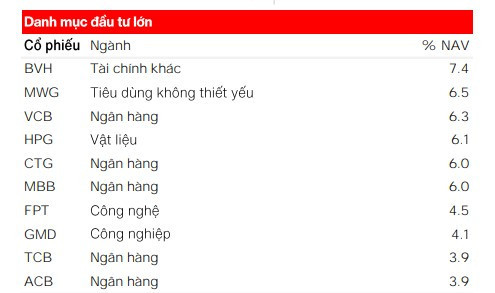 Danh mục 10 khoản đầu tư lớn nhất của Vinacapital 18 8