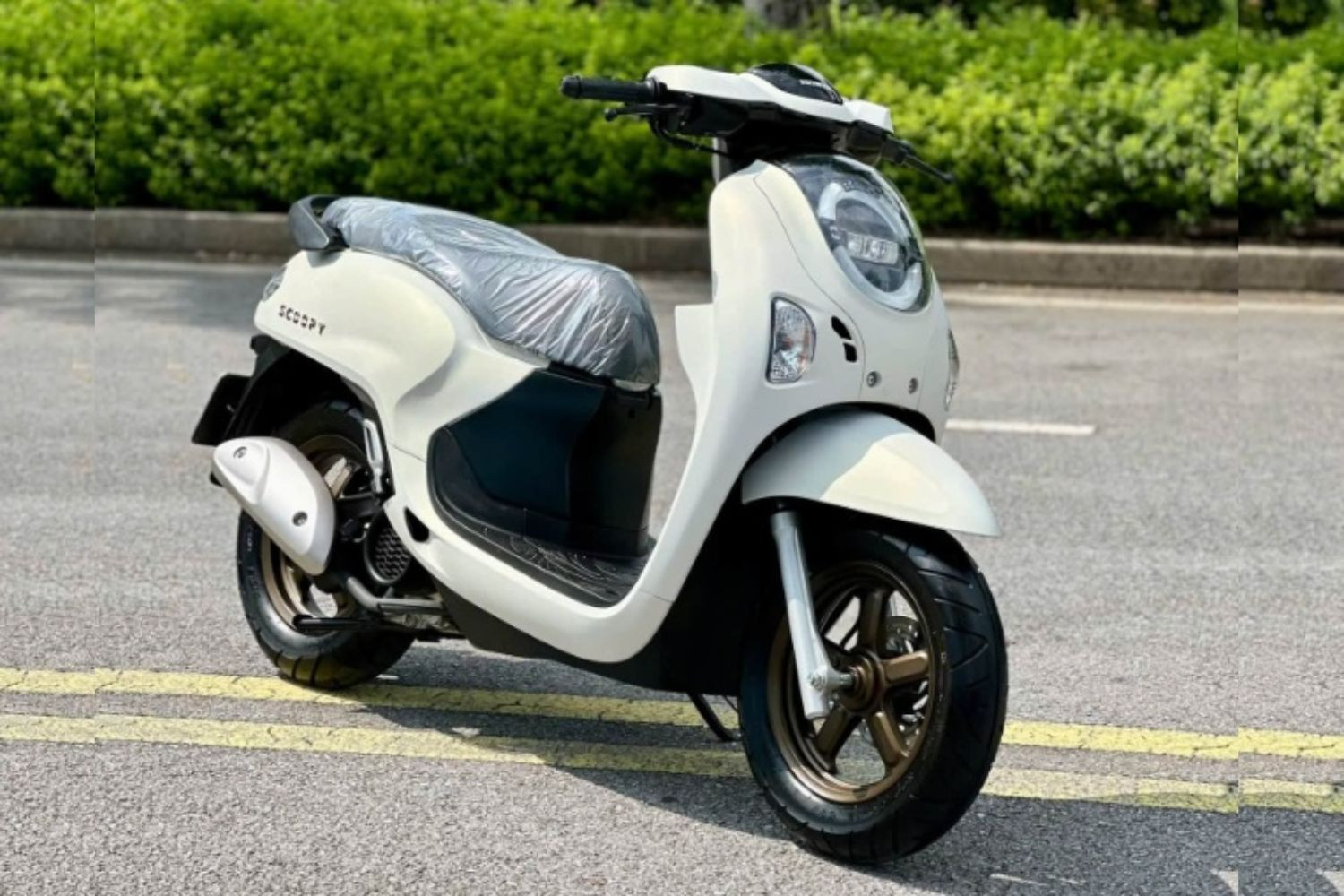 Honda Scoopy