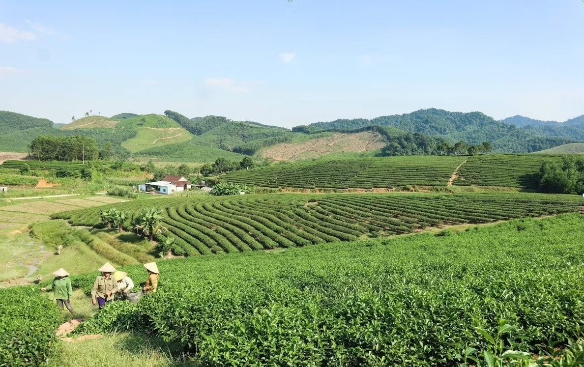 Doanh nghiệp mong gỡ nút thắt về vốn để phát triển nông nghiệp công nghệ cao. Ảnh minh họa. Hơn 155.000 doanh nghiệp rút khỏi thị trường: Tứ bề sức ép? - Ảnh 1.