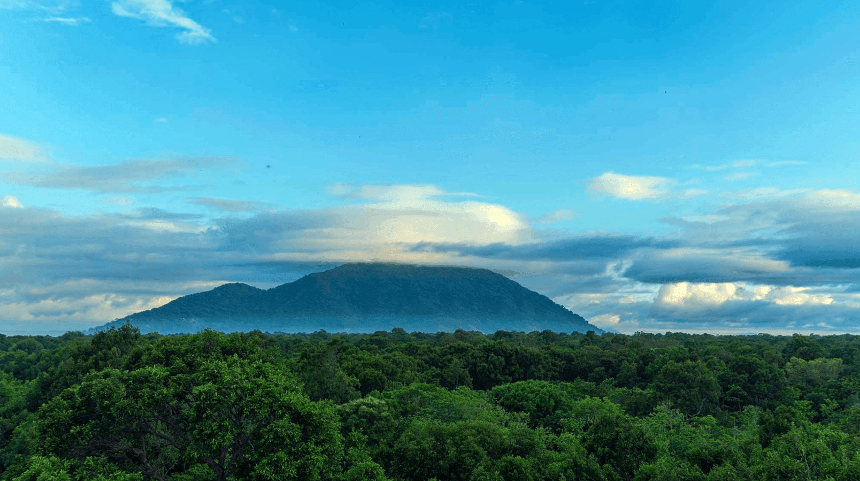 Ảnh màn hình 2026-08-19 lúc 12.02.31