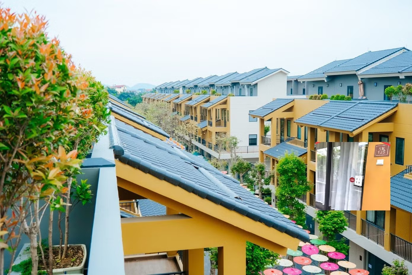 Vụ nữ Việt kiều Mỹ bị xâm hại ở Phú Thọ: Nạn nhân bị 'chuốc' rượu, khống chế bằng sức mạnh - Ảnh 1.