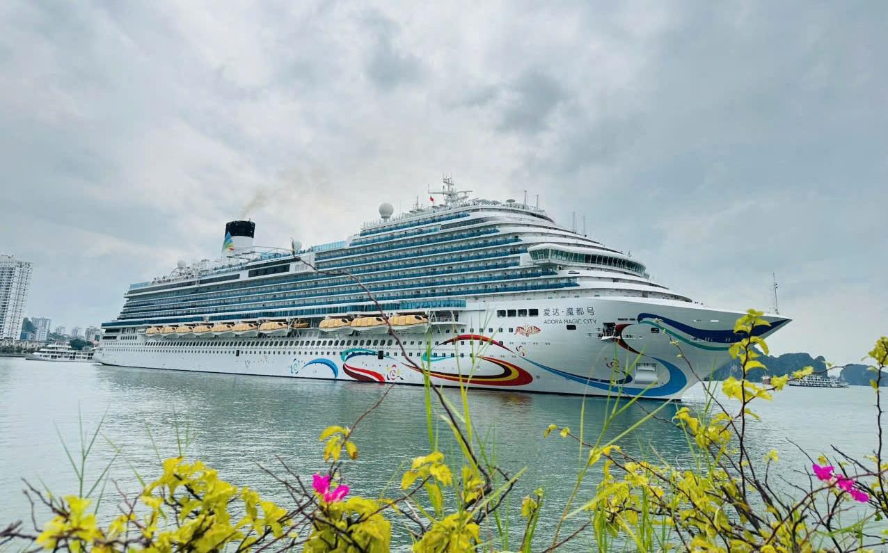 stb.jpg