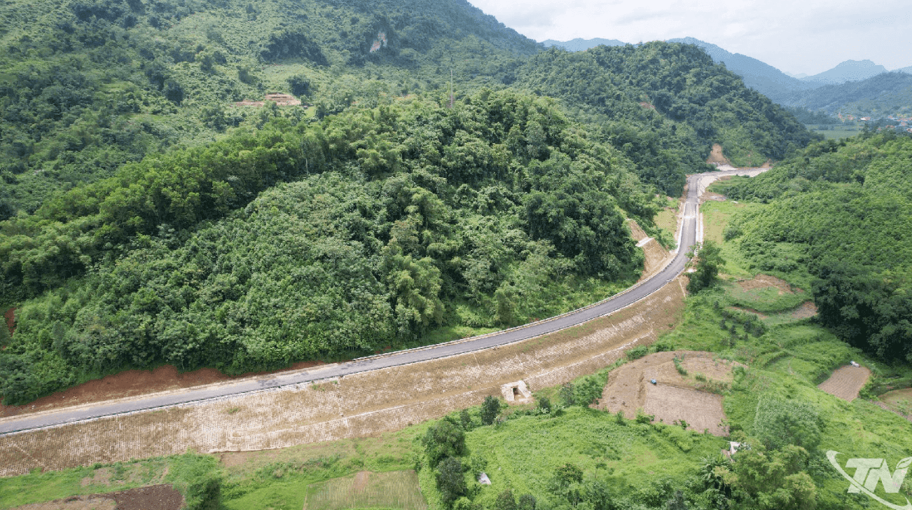 Ảnh màn hình 2026-08-21 lúc 11.59.40