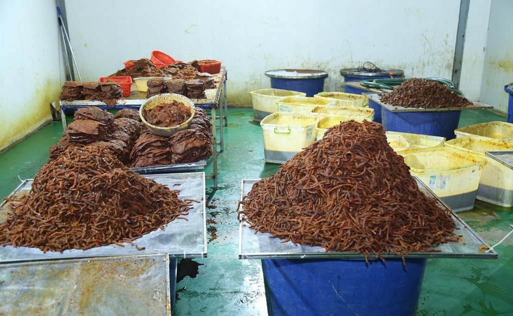 Nơi sản xuất thịt bò khô
