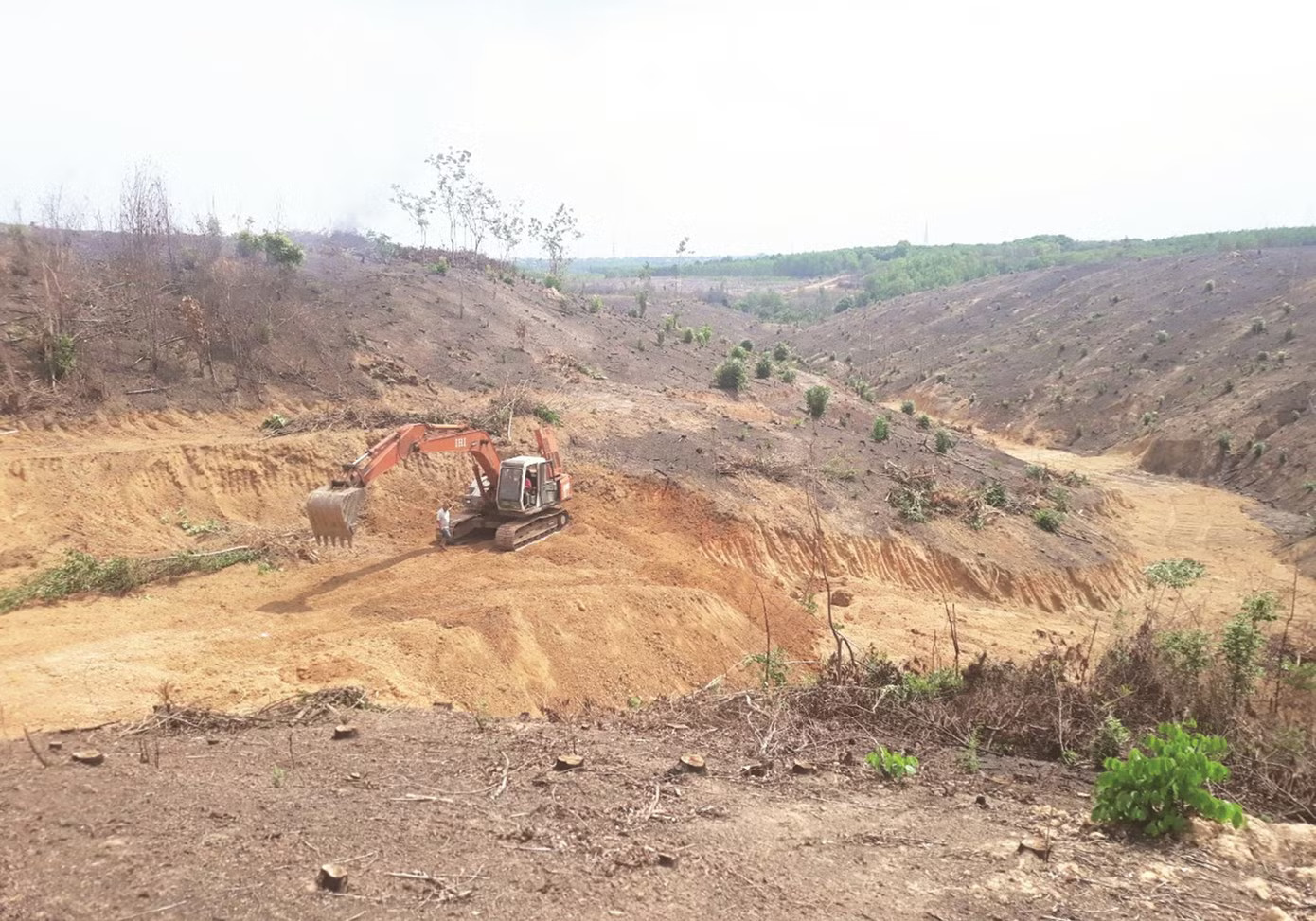 KDC Phú An Lành đa số có nguồn gốc từ đất rừng sản xuất và đất trồng cây lâu năm (ảnh: Lê Thuận) Thanh tra chỉ ra loạt dự án 'dính' vi phạm ở Đồng Nai - Ảnh 2.