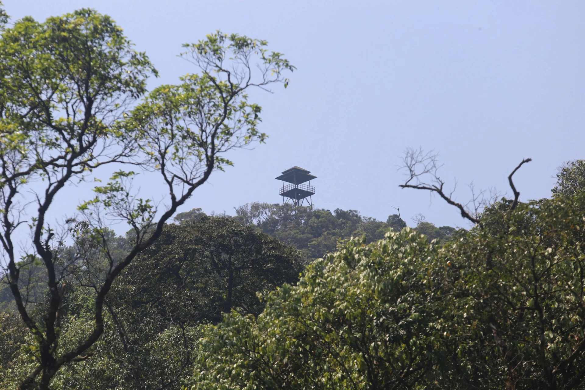 dinhubo2.jpg