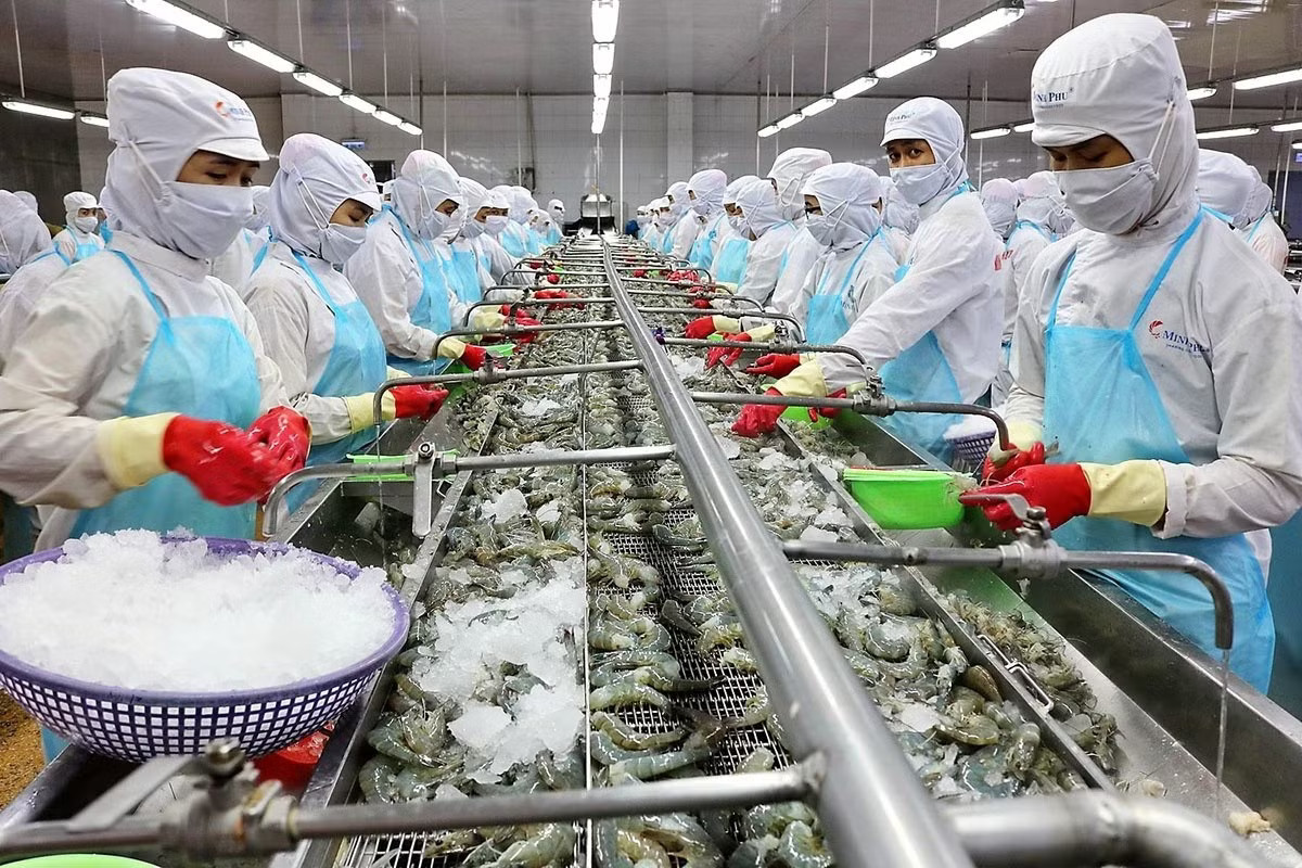 Xuất khẩu tôm của Việt Nam đang chịu thuế cao, gặp áp lực trong cạnh tranh. Xuất khẩu thủy sản tháng 7 đạt 1,1 tỷ USD, thị trường lớn hiện ra sao? - Ảnh 2.