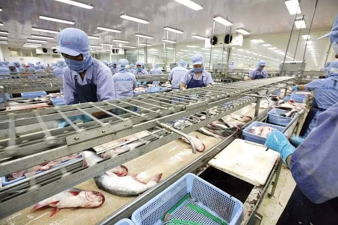 Nhiều hợp đồng thuỷ sản của doanh nghiệp đang phải đàm phán lại. Xuất khẩu thủy sản tháng 7 đạt 1,1 tỷ USD, thị trường lớn hiện ra sao? - Ảnh 1.