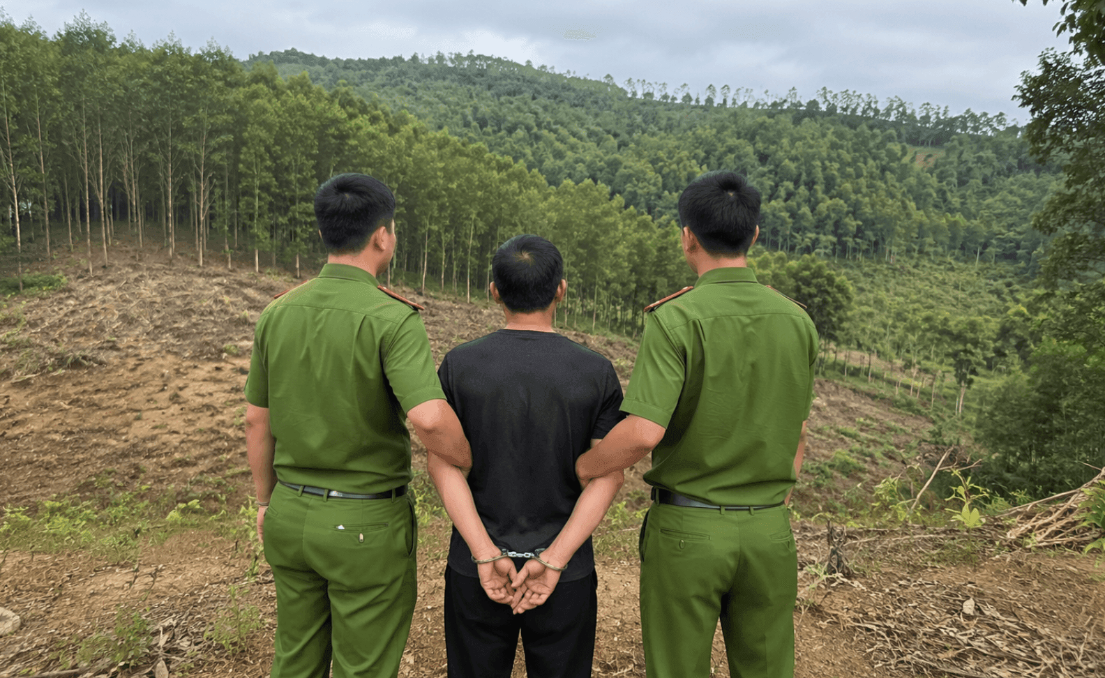 Nguyễn Văn Chung bị bắt do chiêu bán đất rừng ‘nhân bản’
