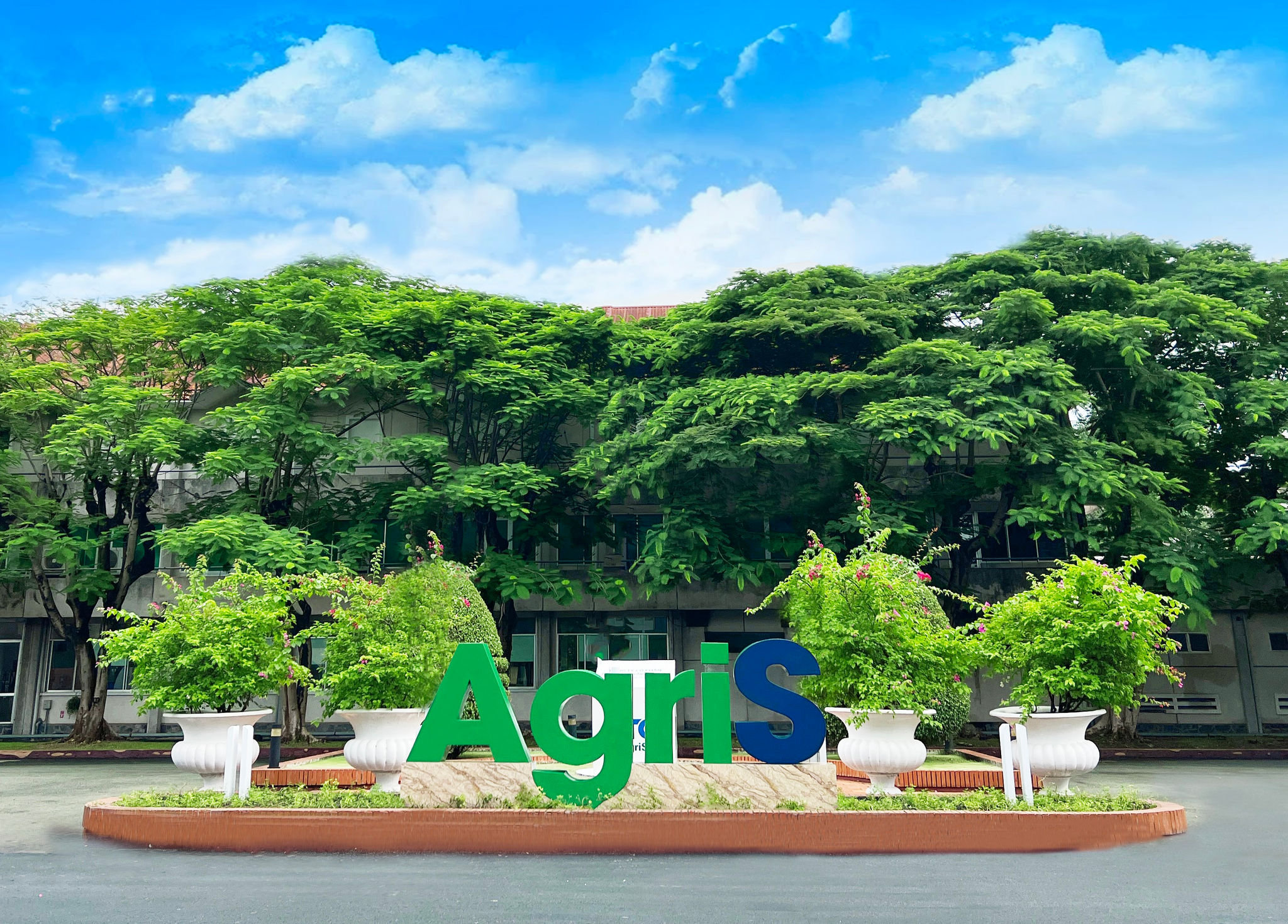 AgriS (SBT) miễn nhiệm Phó Tổng Giám đốc Nguyễn Bạch Kim Vy