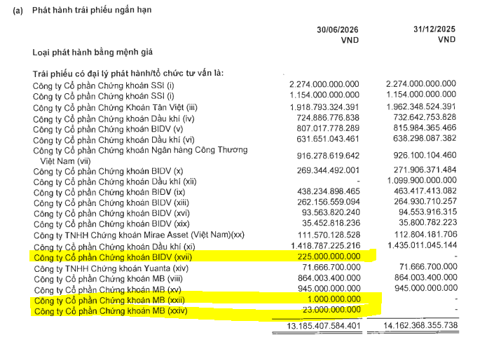 Nguồn: BCTC soát xét bán niên 2026 của Novaland