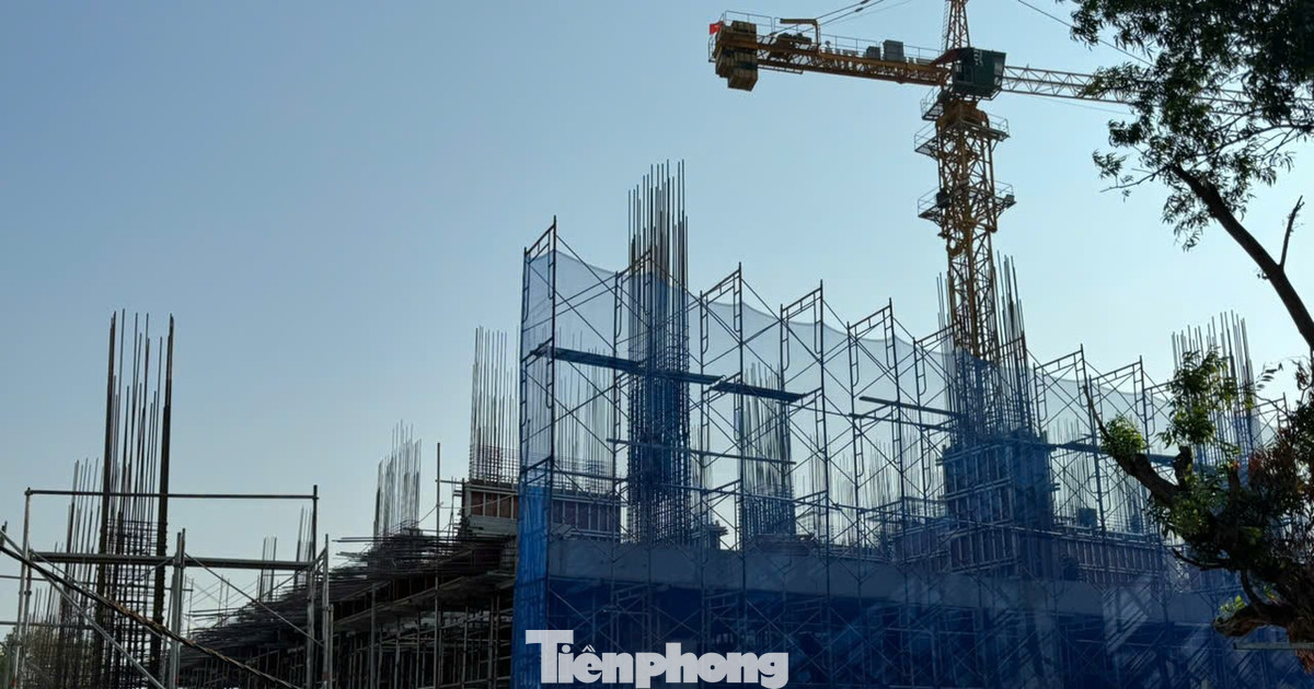 Giá căn hộ ở TPHCM giảm mạnh sau sáp nhập Giá căn hộ ở TPHCM giảm mạnh sau sáp nhập