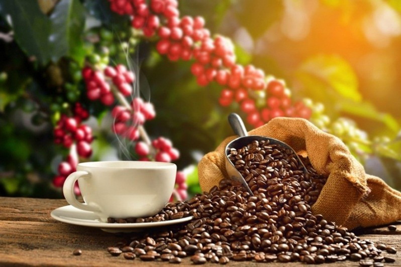 Bất chấp giá cà phê thế giới điều chỉnh giảm do áp lực nguồn cung và hoạt động chốt lời của các quỹ đầu tư, xuất khẩu cà phê Việt Nam vẫn tăng tốc mạnh mẽ ngay từ đầu năm.