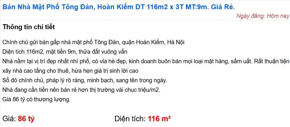 Biệt thự có 80m² lấn chiếm đất Bảo tàng: 'Choáng' với giá đất khu vực đang rao bán - Ảnh 2.